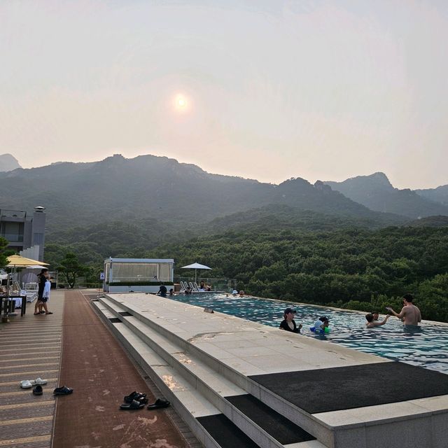 🧡파라스파라 서울 호텔 추천 수영장