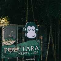 Blu monkey Pooltara 