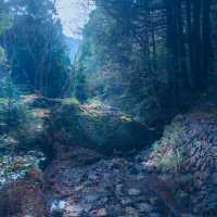 神秘的な滝壺と鳥居（岩門の滝・岐阜県関市）