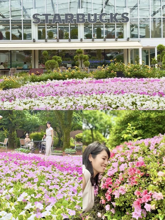 〜東京都〜梅雨でもお花見！室内で楽しめるハナビヨリ