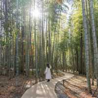 【静岡県】保存必須✳︎静岡でしたい5つのこと