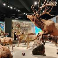 เดินเล่นกันที่ Shanghai Natural History Museum