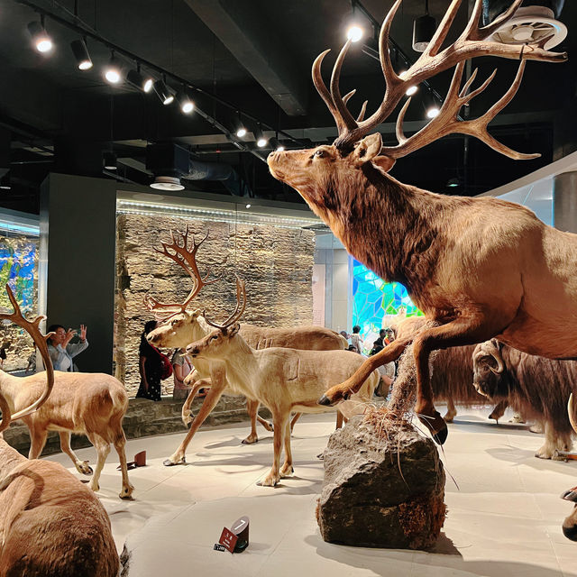 เดินเล่นกันที่ Shanghai Natural History Museum