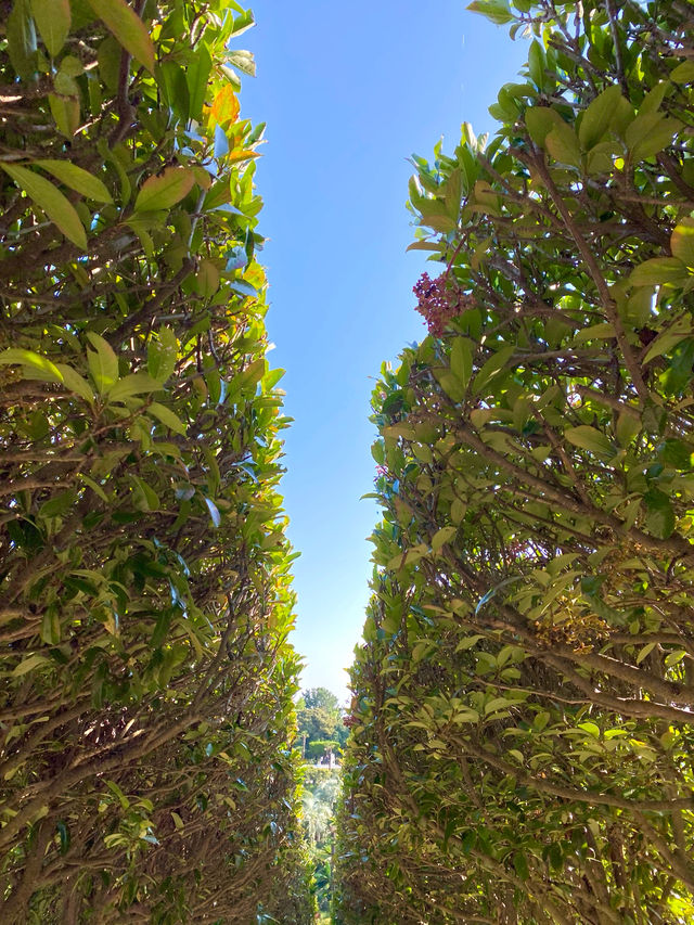 이국적인 분위기 가득🌳 거제도 대표 여행지 📍외도 보타니아