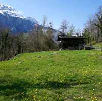 Most stunningly Alpine