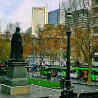Melbourne's Golden Glow: Autumn's Warm Embrace