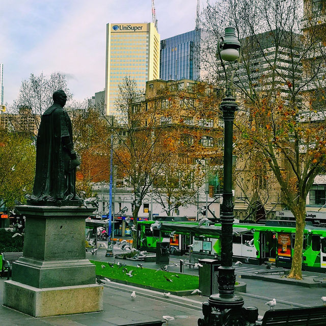 Melbourne's Golden Glow: Autumn's Warm Embrace