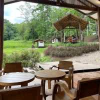 จิบกาแฟริมธาร..ที่..หลงเขา บ่อเกลือ น่าน