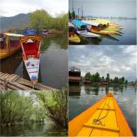 Srinagar ศรีนาการ์ ใครว่ามีแต่จลาจล