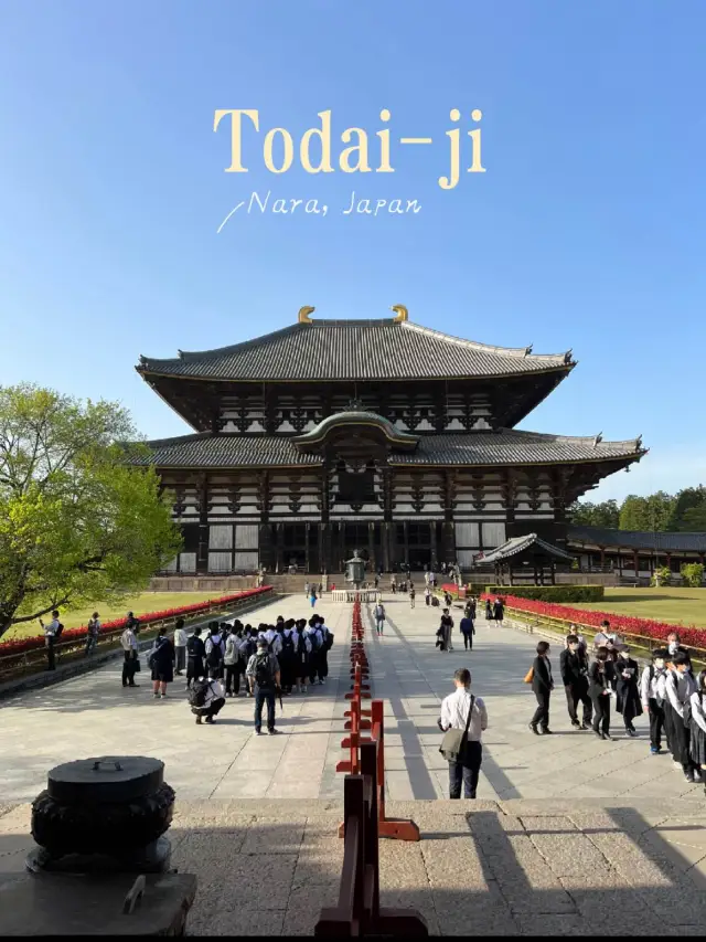 Todai-ji’s Largest Ancient Wooden Building in the World 🦌