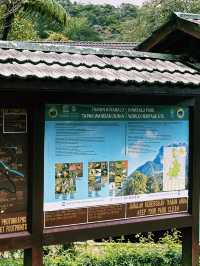 A Walk To Remember: Breathtaking Kinabalu