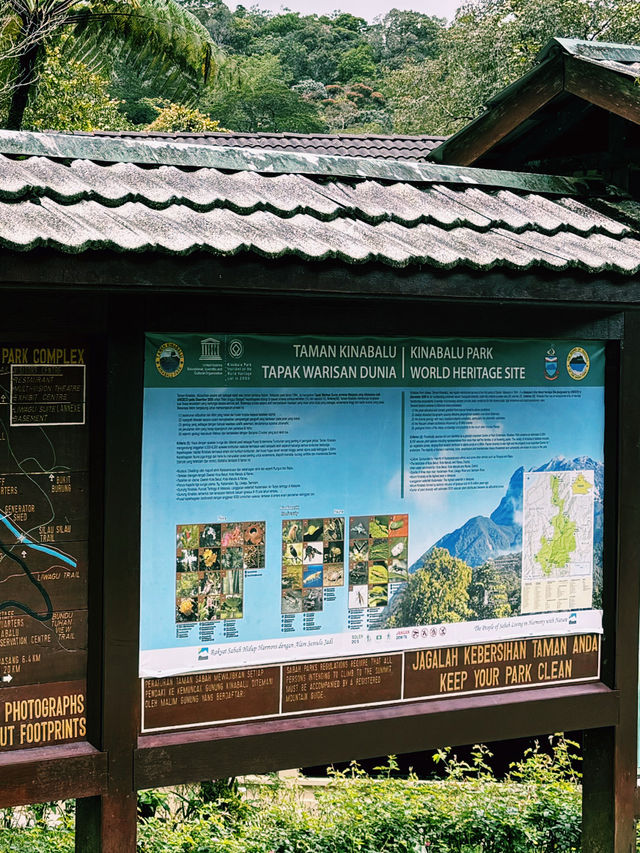 A Walk To Remember: Breathtaking Kinabalu