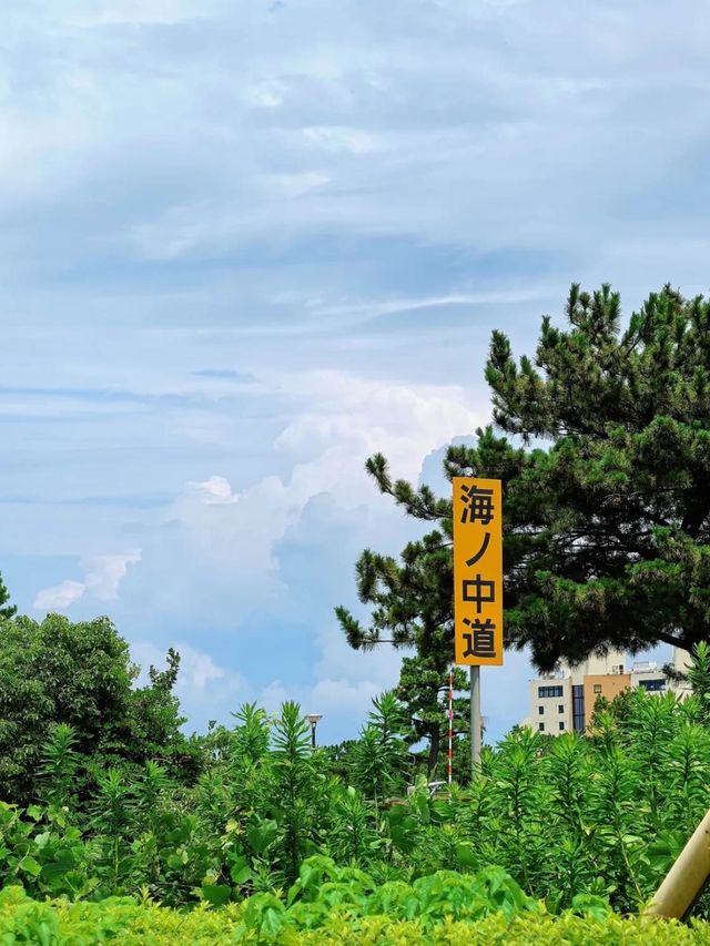 海之中道海濱公園 