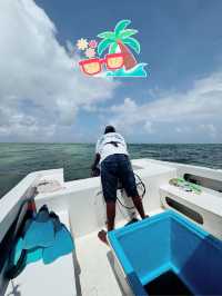 🏝️🇲🇺 Ile Aux Cerf tour on a crystal glass bottom boat