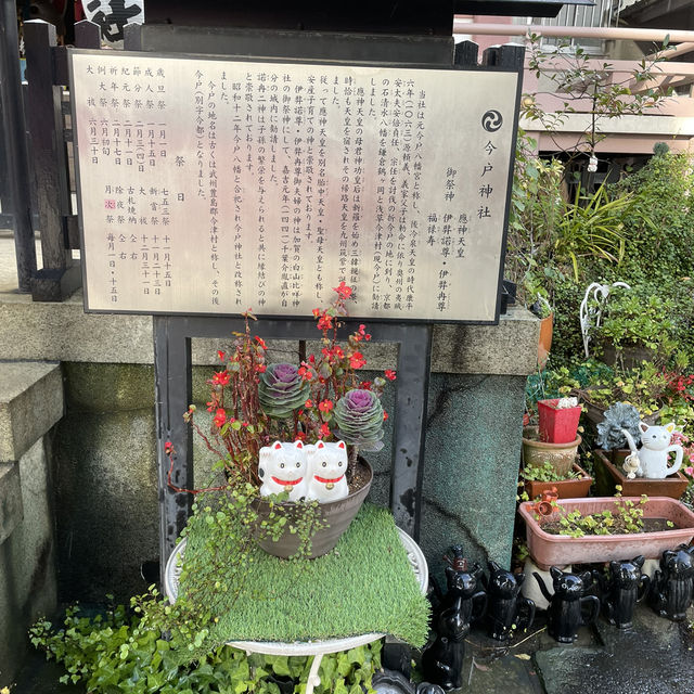 「淺草寺廟，8月好去處」