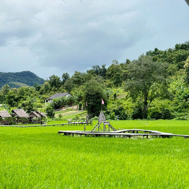SAM NA CAFE 🍵 LUANG Prabang 