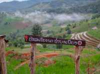 📍บ้านป่าบงเปียง จ.เชียงใหม่