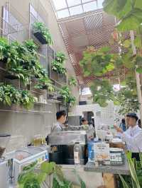 Spacious & Green