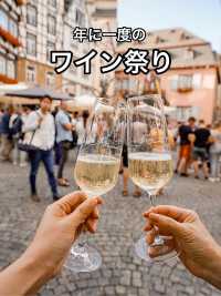 📍Cochem Wine Festival
