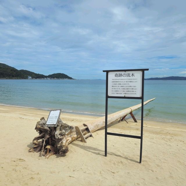 情侶必到：系島🏝