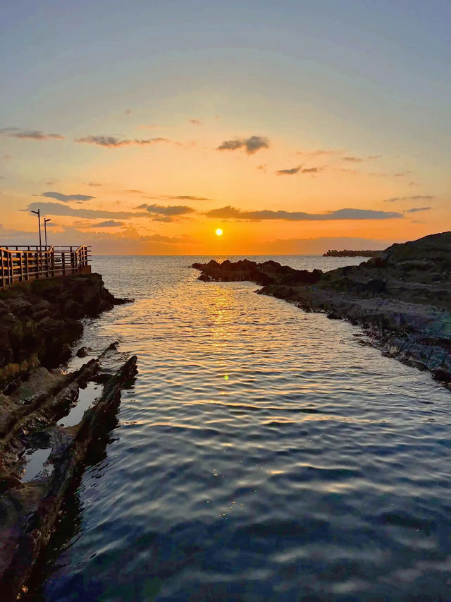 【神奈川】ねこ島🐈絶景夕陽スポットでお散歩
