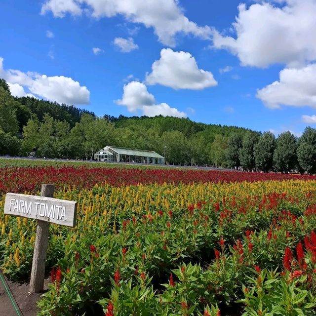 Hokkaido travel itinerary and tips