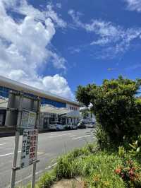 奄美大島　飛行機で行く大阪→奄美大島✈️