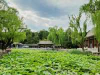 Summer Palace 