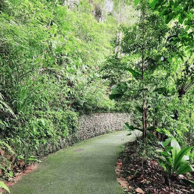 檳城The Habitat:探索熱帶的自然之美