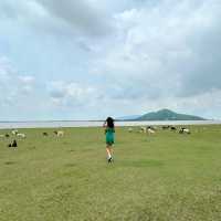 สวิตเซอร์แลนด์เมืองไทย
