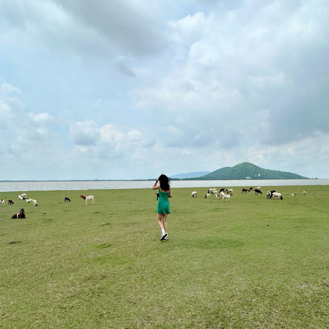 สวิตเซอร์แลนด์เมืองไทย