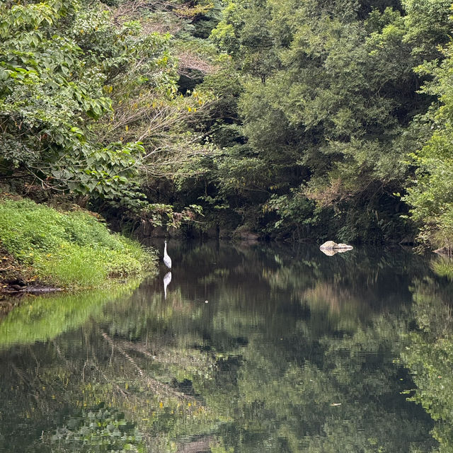 Unforgettable adventure on Jeju Island!