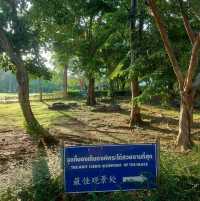เขาชีจรรย์ ชลบุรี