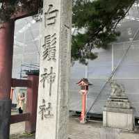 【琵琶湖の中に立つ鳥居】滋賀県の名勝・白鬚神社