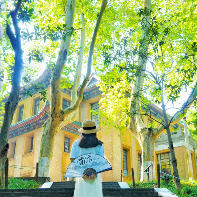A day in Nanjing 🇨🇳