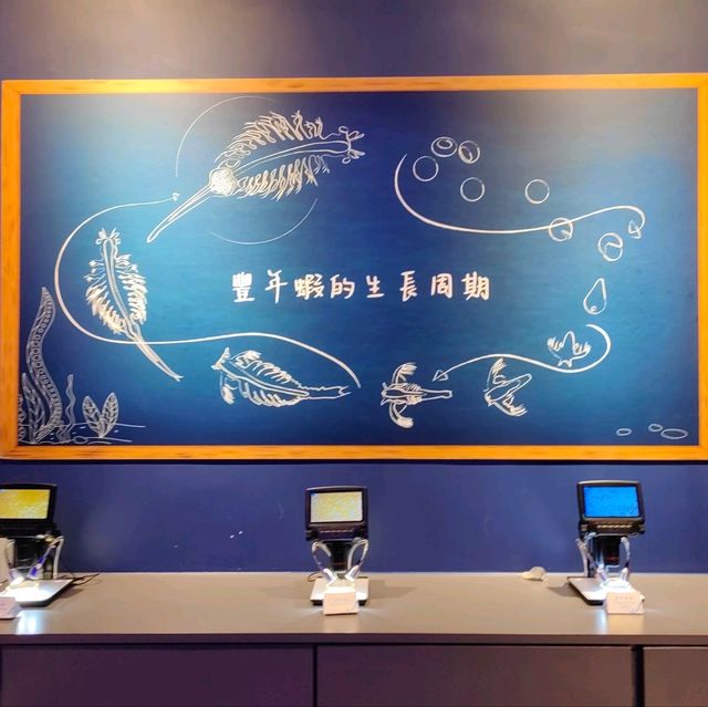 荃灣市中心浩海立方探遊館探索不同生物