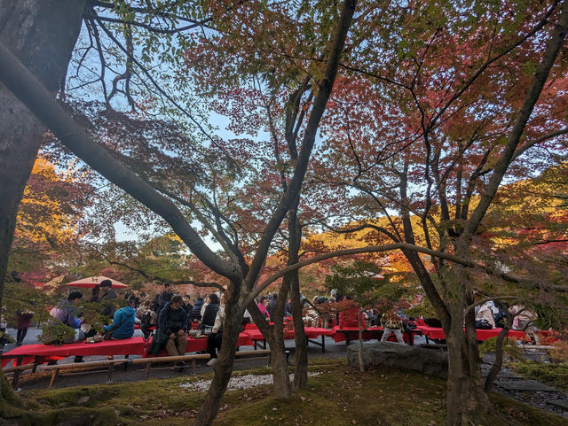 <京都 永觀堂>  🇯🇵楓葉女王的聖殿