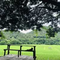 บ้านแม่ทา @ลำพูน