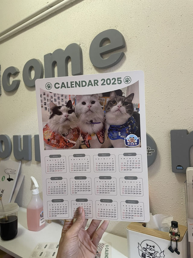 Cat cafe in Tsim sha Tsui @Hongkong
