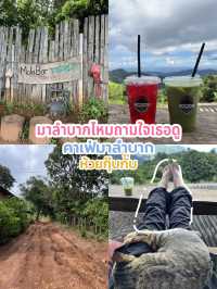 มาลำบาก คาเฟ่ ห้วยกุ๊บกั๊บ