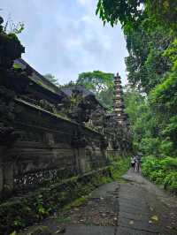 Tranquil Trails at Campuhan Ridge Walk