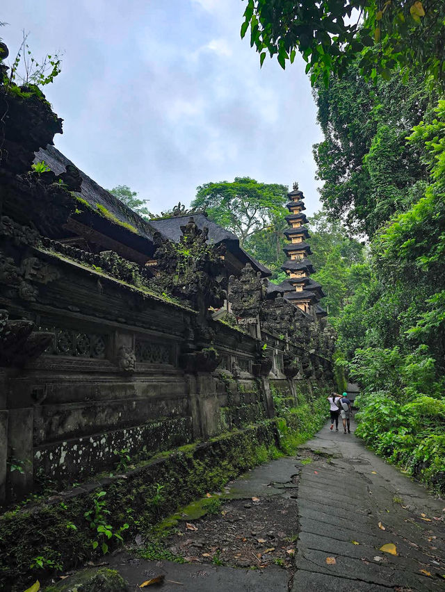 Tranquil Trails at Campuhan Ridge Walk