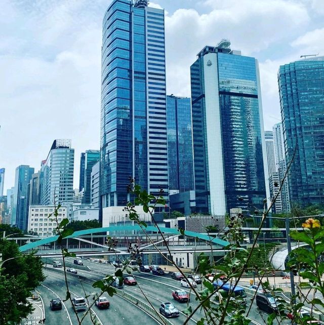 Discover Hong Kong 🇭🇰