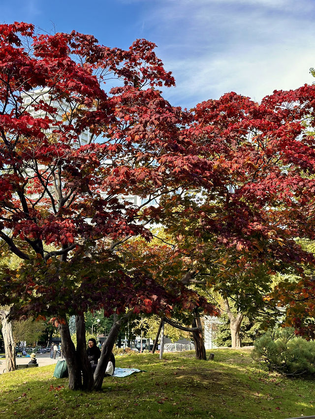 Stunning Autumn Colors at Nakajima Park 🍁