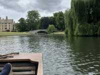 Punting Through the Knowledge Town: Discovering Cambridge’s Charm