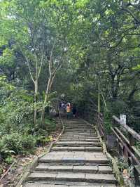 Hike to Elephant Mountain