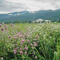 most scenic public park in Chiangmai