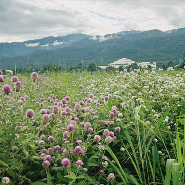 most scenic public park in Chiangmai