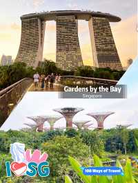 Discover the Beauty of Gardens by the Bay