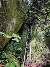 A challenging misson: my maiden hike to the Mount Ophir 🌿 